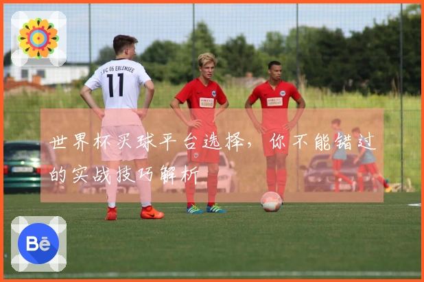 世界杯买球平台选择，你不能错过的实战技巧解析