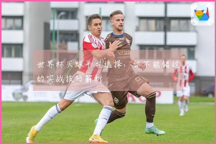 世界杯买球平台选择，你不能错过的实战技巧解析