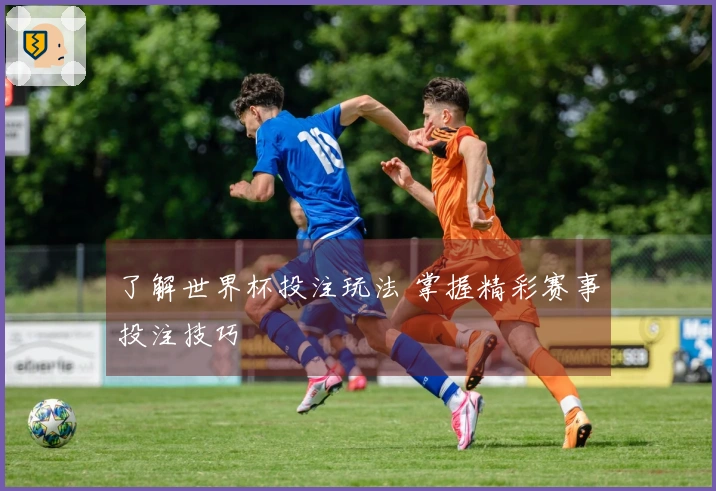 了解世界杯投注玩法 掌握精彩赛事投注技巧