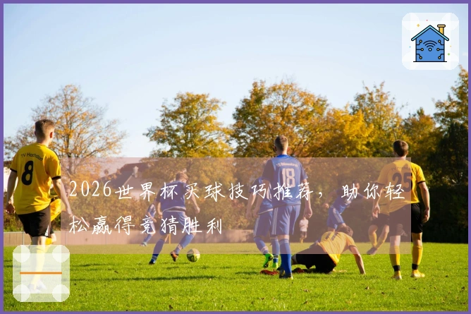 2026世界杯买球技巧推荐，助你轻松赢得竞猜胜利