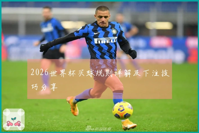 2026世界杯买球规则详解及下注技巧分享