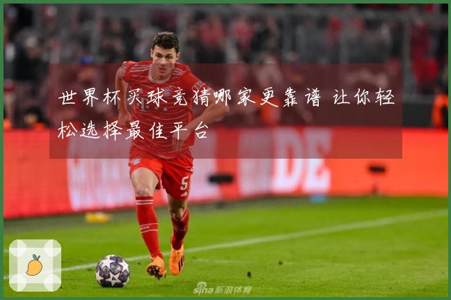 世界杯买球竞猜哪家更靠谱 让你轻松选择最佳平台