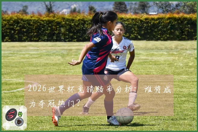 2026世界杯竞猜赔率分析：谁将成为夺冠热门？
