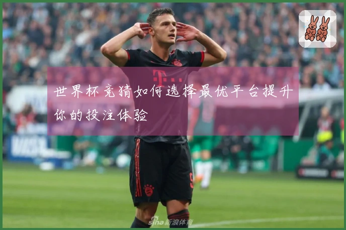 世界杯竞猜如何选择最优平台提升你的投注体验