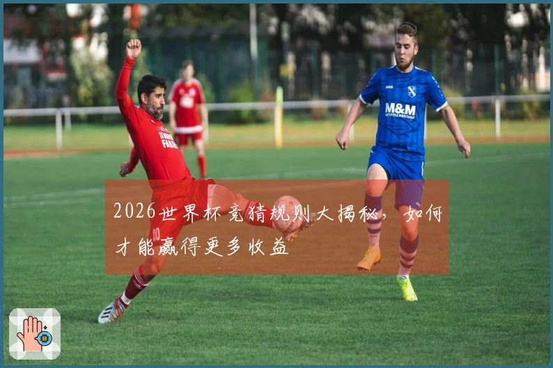 2026世界杯竞猜规则大揭秘，如何才能赢得更多收益