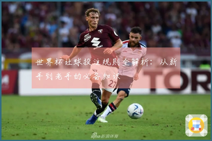 世界杯让球投注规则全解析：从新手到老手的必备知识