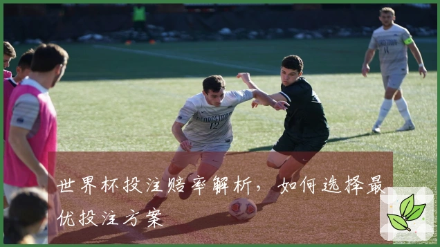 世界杯投注赔率解析，如何选择最优投注方案