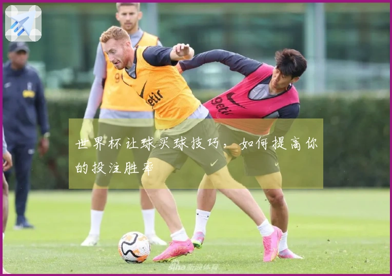世界杯让球买球技巧，如何提高你的投注胜率